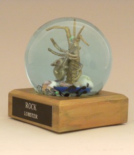 Rock Lobster sparkle snow globe, Camryn Forrest Designs, Denver, Colorado