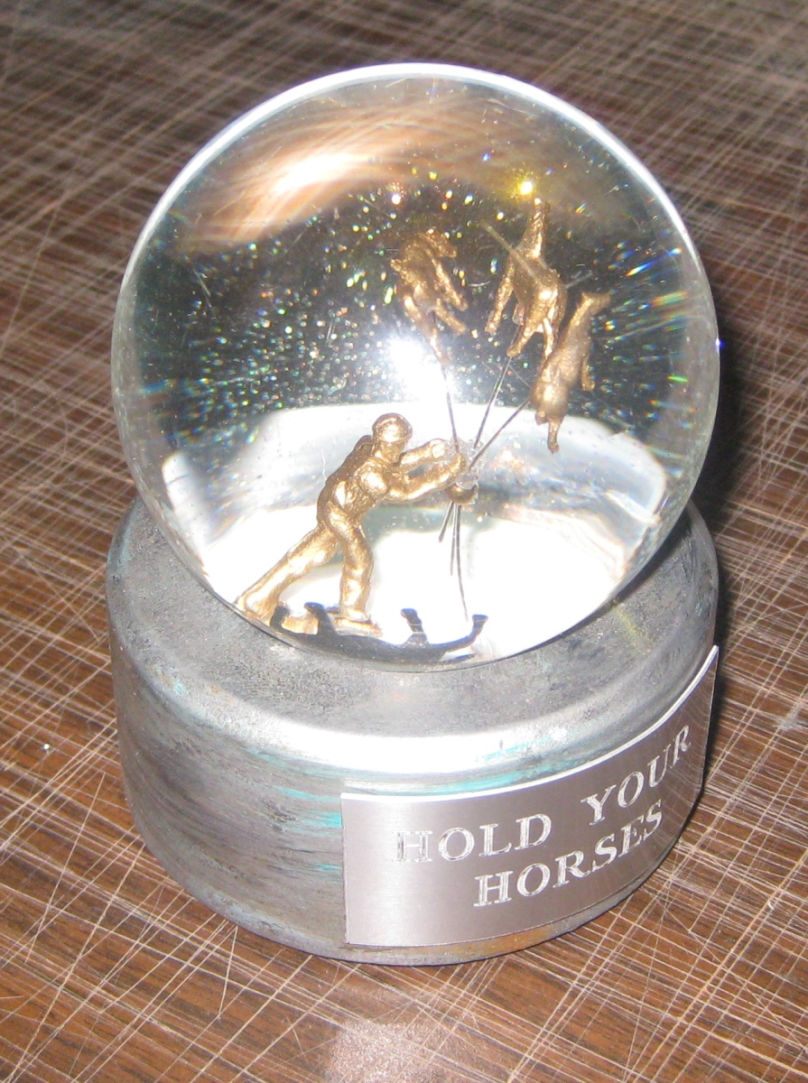 Hold Your Horses custom snow globe, Camryn Forrest Designs, Denver, CO USA 2016